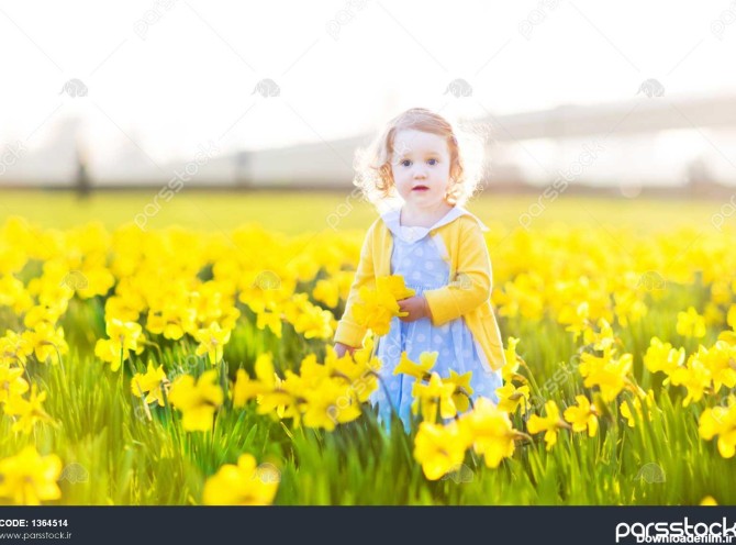 کودک نو پا اشکال مختلف زیبا دختر در لباس آبی رنگ در زمينه زرد گل ...