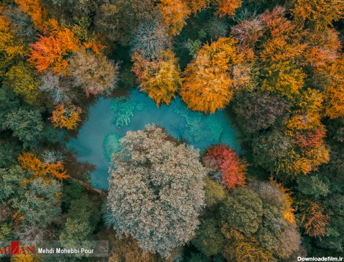 نمایی دیدنی از پاییز رنگارنگ در طبیعت (+عکس) - عصر خبر