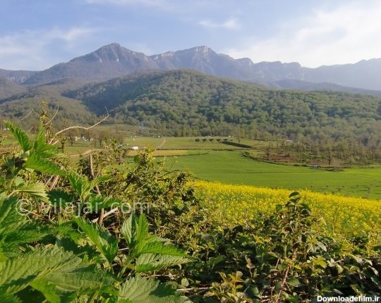 عکس روستای نوچمن