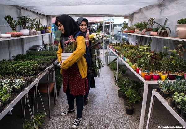بهترین باغ گل‌های تهران کدامند؟ | وبلاگ اسنپ تریپ