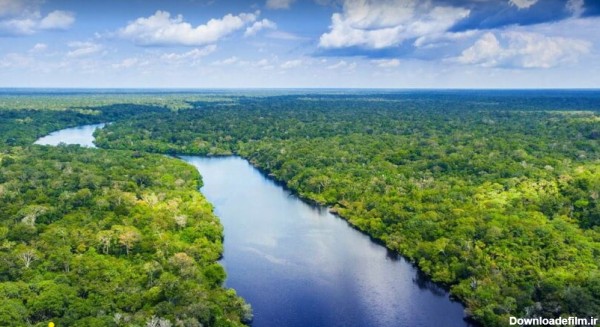 جنگل های آمازون + رود آمازون | عکس، نقشه و طبیعت ☀️ این تودی