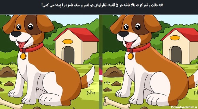 اگه دقت و تمرکزت بالا باشه در 5 ثانیه، تفاوتهای دو تصویر سگ بامزه ...