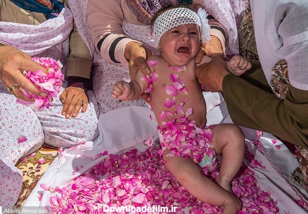 عکس/ آیین گل غلتان نوزاد در امیریه - جهان نيوز