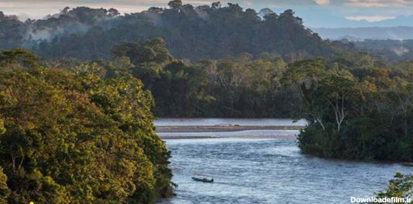 تصاویر جنگل آمازون