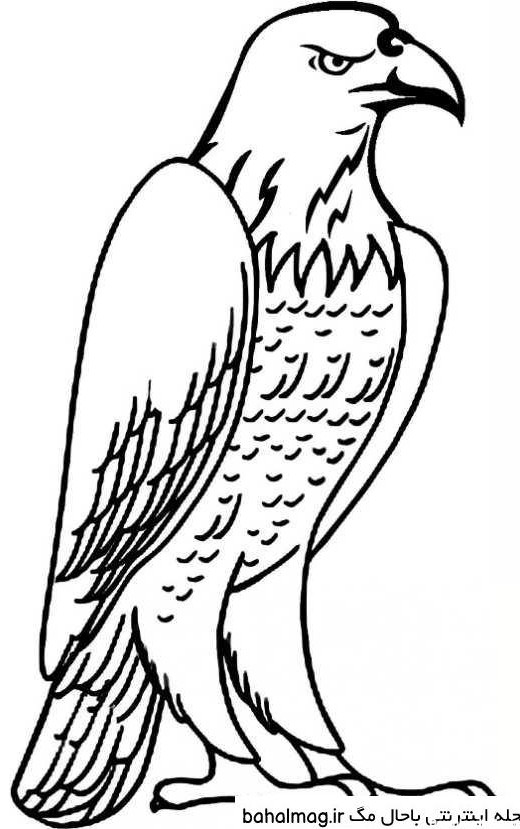 عکس نقاشی عقاب کودکانه