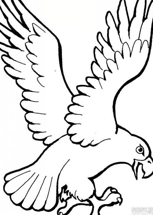 عکس نقاشی عقاب کودکانه - عکس نودی