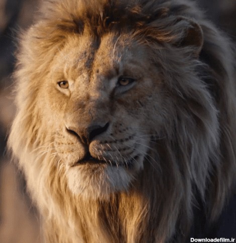 تصویر فیلم Mufasa: The Lion King