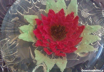آموزش تصویری درست کردن ژله تزریقی به شکل گل