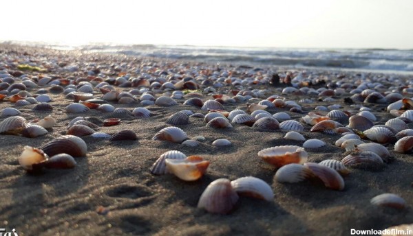 عکس | ساحل رویایی دریای خزر در محمودآباد