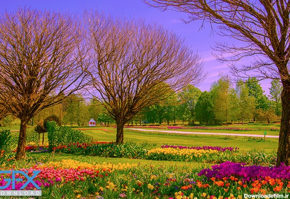 15 عکس طبیعت بهاری کیفیت بالا  زیباترین عکس طبیعت بهاری جدید