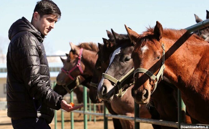 سردار آزمون از خرید گران‌ترین اسبش می‌گوید/ قیمت اسب‌هایم یک راز است+عکس