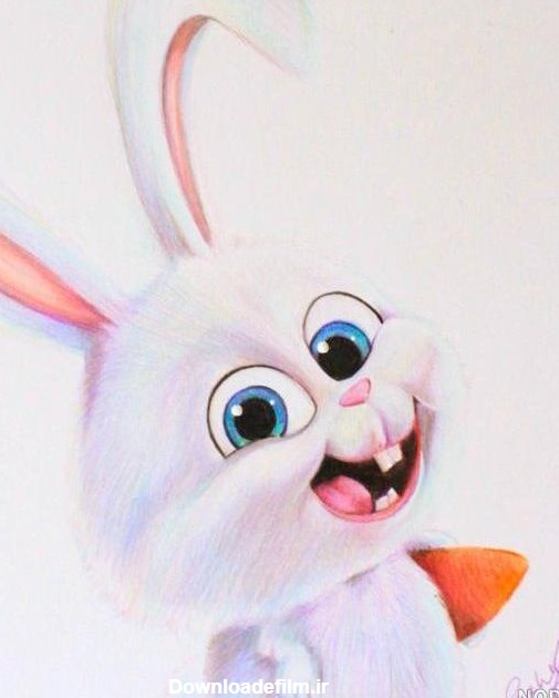 عکس خرگوش در کارتون حیوانات خانگی