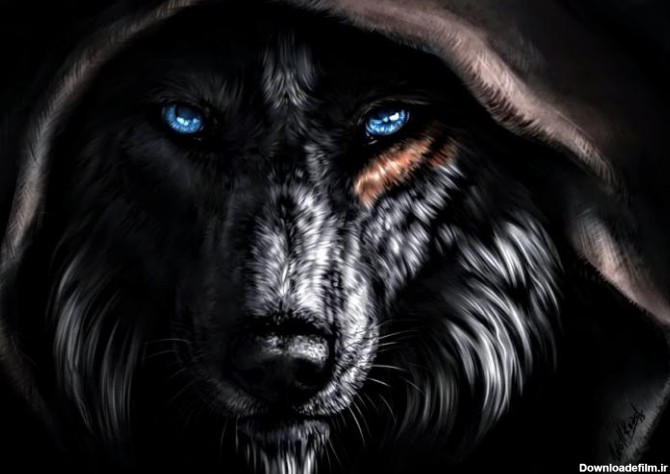 Dark wolf theme Chrome Theme - ThemeBeta