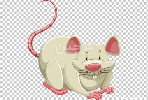 عکس کارتونی و دوربری شده موش سفید زیبا | بُرچین – تصاویر دوربری ...