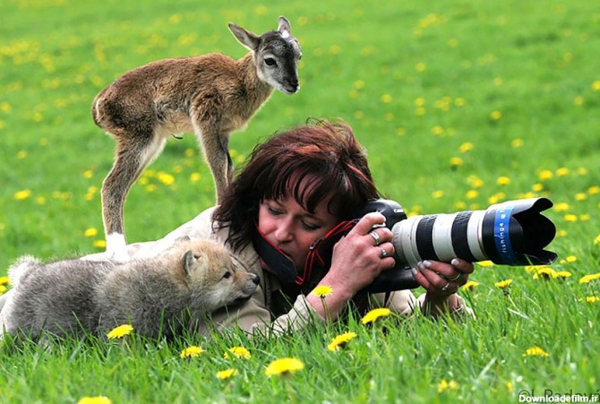 تصاویر زیبا از همراهی حیوانات با عکاسان طبیعت