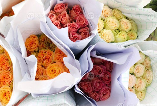 دانلود عکس گل رز رنگارنگ زیبا پیچیده شده در کاغذ برای فروش ...