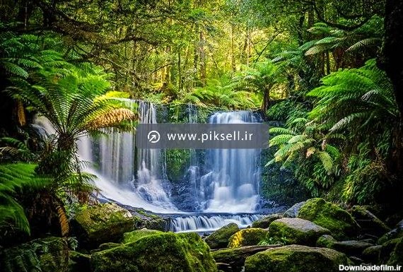 عکس با کیفیت از جنگل و آبشار و منظره طبیعت