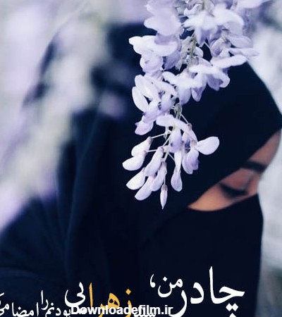 مجموعه عکس نوشته در مورد حجاب و چادر را دوست داشتن | ستاره