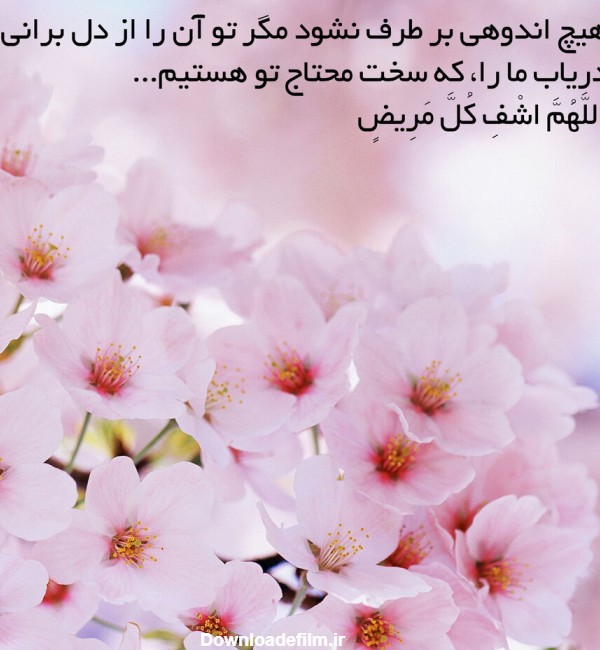 خبرگزاری حوزه - عکس نوشت | فرازهایی از دعای هفتم صحیفه سجادیه