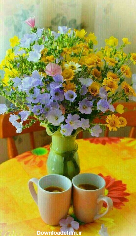 چای صبحگاهی در کنار تو❤❤ - عکس ویسگون
