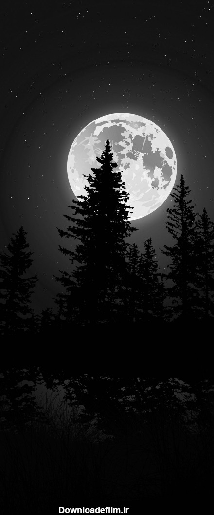 شب ماه منظره طبیعت زیبا - عکس ویسگون