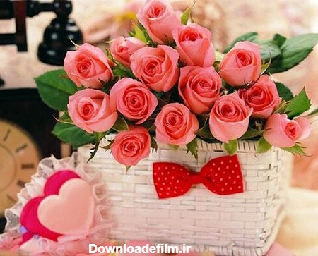 عکس گل های زیبا عاشقانه