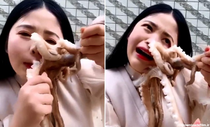 سرانجام شوآف دختر چینی در خوردن اختاپوس زنده! +فیلم
