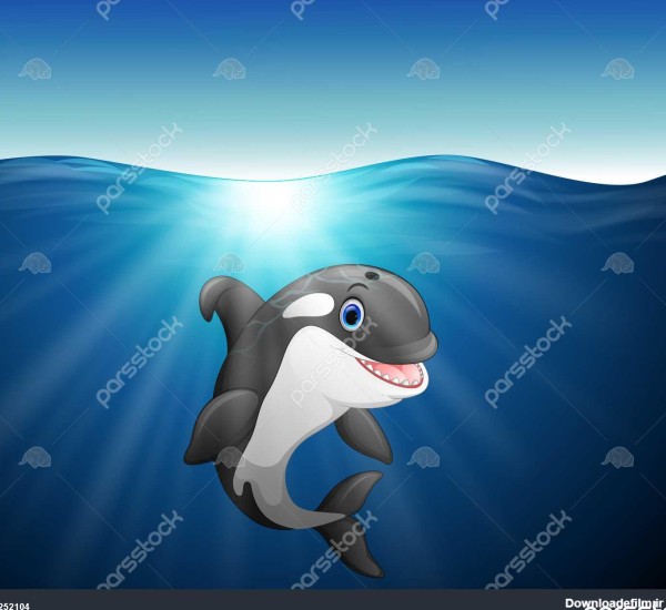 نهنگ قاتل کارتون در دریا 1252104