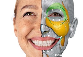 زبان چهره | تشخیص و تفسیر حالت های چهره طرف مقابل در مذاکره - متمم