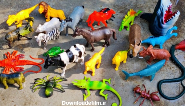اسباب بازی های حیوانات - حیوانات به زبان انگلیسی - آموزش حیوانات کودکان