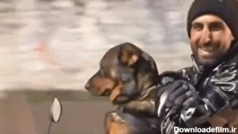 ثبت تصویر موتورسواری حرفه‌ای یک سگ در خیابان‌های ایران (فیلم)