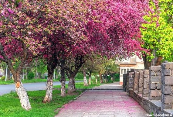 شهرهای دیدنی گردشگری ایران در فصل بهار + آدرس