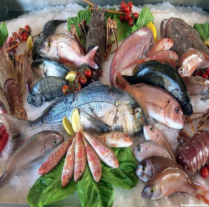 ماهی شمال سالم‌تر است یا ماهی جنوب؟ + لیست قیمت انواع ماهی ...
