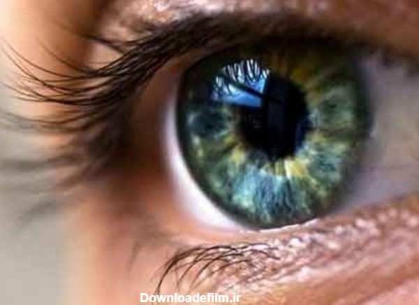 رنگ چشم چه ربطی به سلامتی دارد؟- اخبار رسانه ها تسنیم | Tasnim
