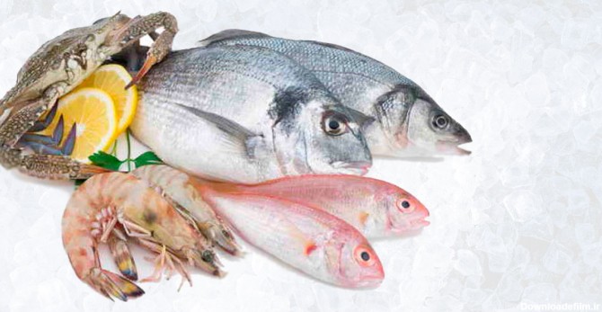 خواص انواع ماهی های جنوب را بشناسید