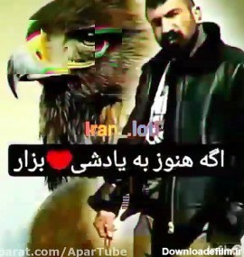 مجموعه عکس عقاب ایران وحید مرادی (جدید)