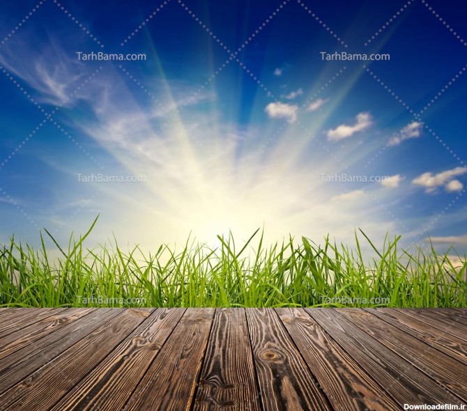 تصویر با کیفیت از طلوع زیبای خورشید از پشت چمنزار