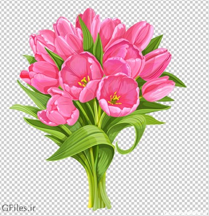 تصویر png (ترانسپرنت) و کارتونی دسته گلهای لاله صورتی (Pink tulip flowers)