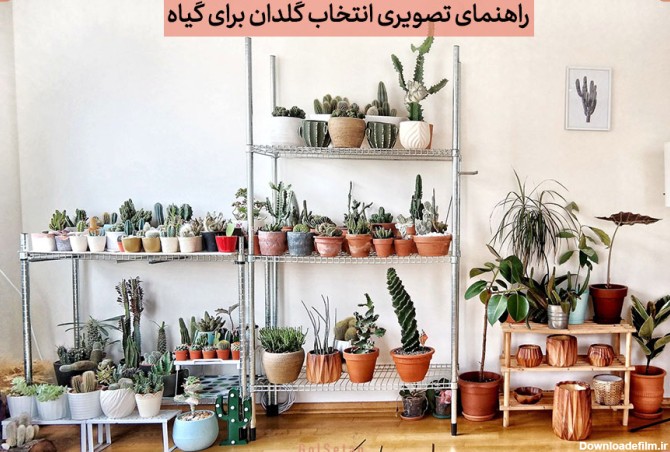 معرفی10 نوع گلدان مناسب برای گیاه آپارتمانی با عکس |گُل‌سِتان