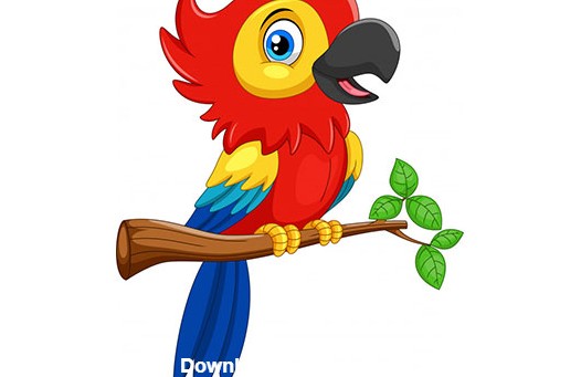 کاراکتر کارتونی طوطی قرمز خنده دار - Funny red parrot cartoon ...