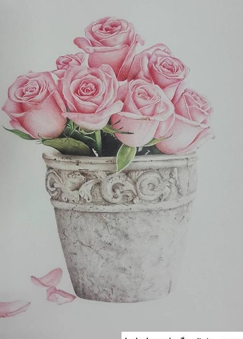 عکس نقاشی گل و گلدان با مداد رنگی