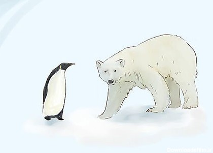 آموزش کشیدن نقاشی خرس قطبی و پنگوئن