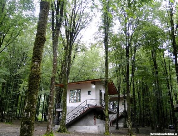ساخت کلبه های بوم گردی برای مسافران در پارک جنگلی ناهارخوران