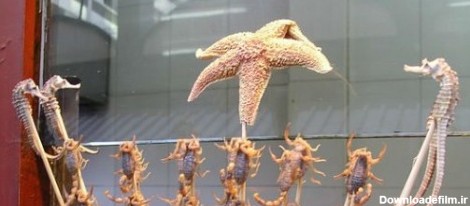 یک غذای عجیب در چین؛ ستاره دریایی