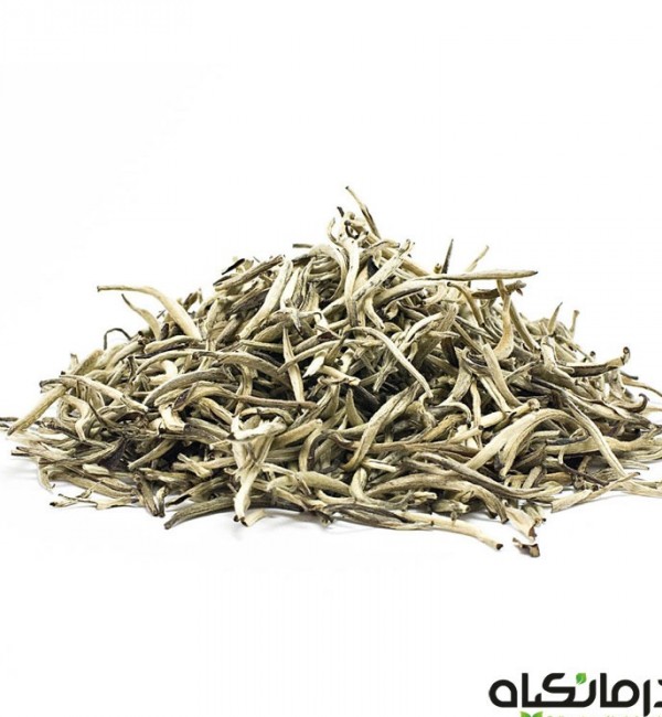 خرید چای سفید اصل | خواص و قیمت چای سفید سوزنی | درمانگیاه