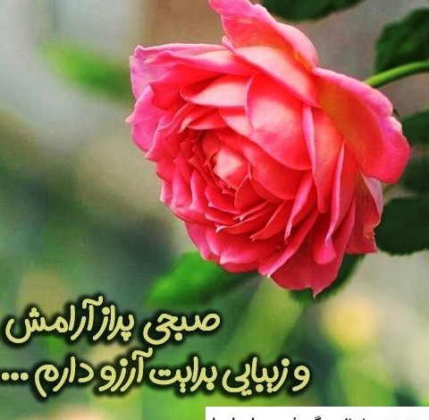 عکس گل باسلام صبح بخیر