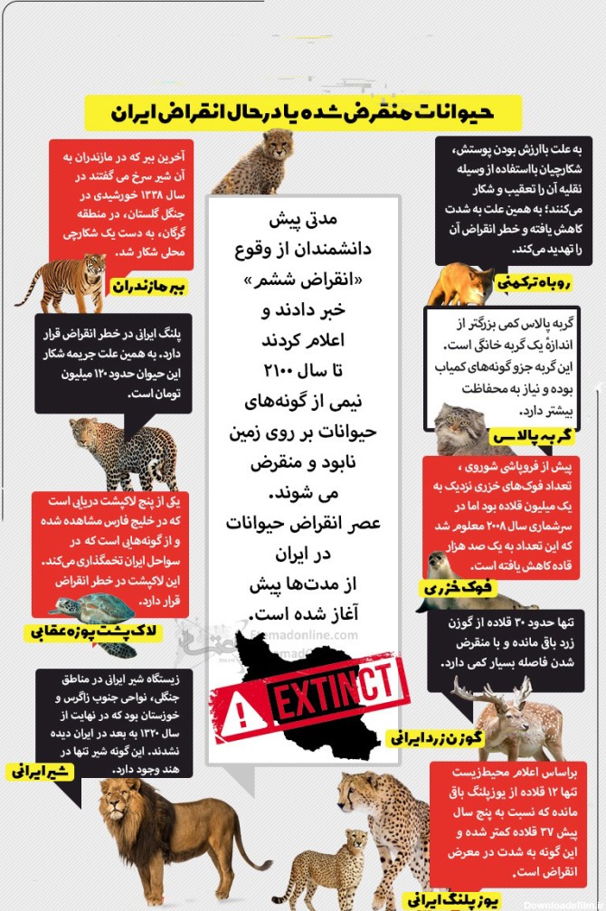 حیوانات منقرض شده در ایران را بشناسید + عکس و جزئیات