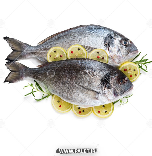 تصویر تبلیغات ماهی فروشی جنوب