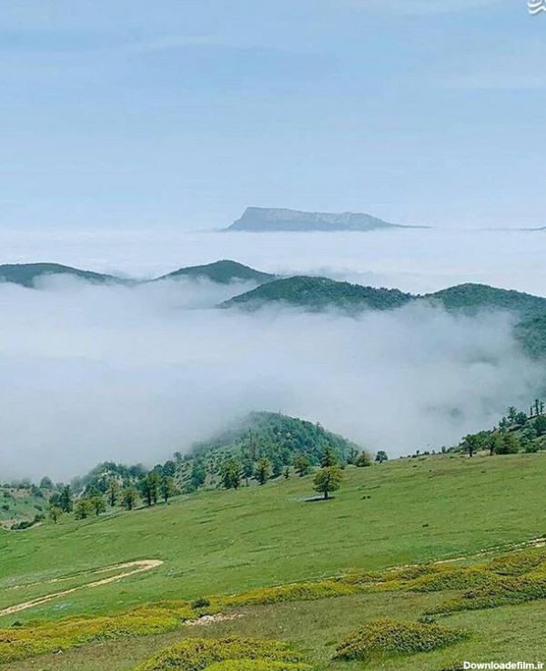 نمایی زیبا از جنگل ابر در شاهرود +عکس