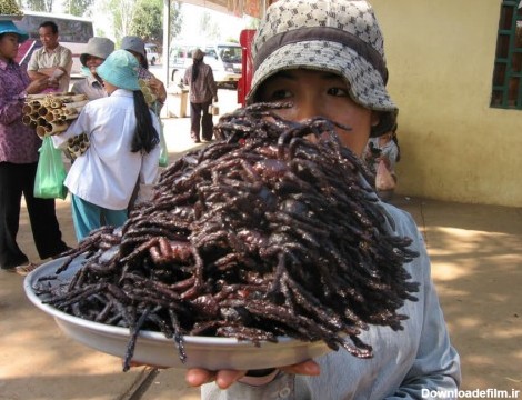 غذای عجیب و چندش آور مردم کامبوج